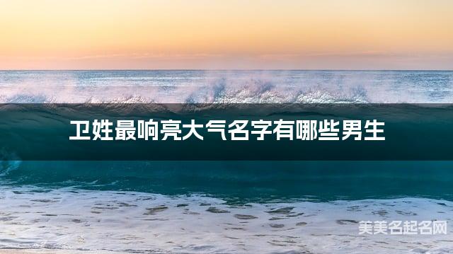 卫姓最响亮大气名字有哪些男生