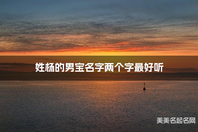 姓杨的男宝名字两个字最好听