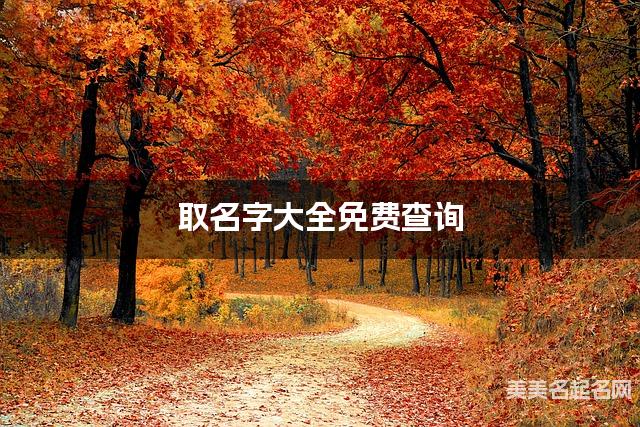 取名字大全免费查询 最有创意的肖姓男生名字