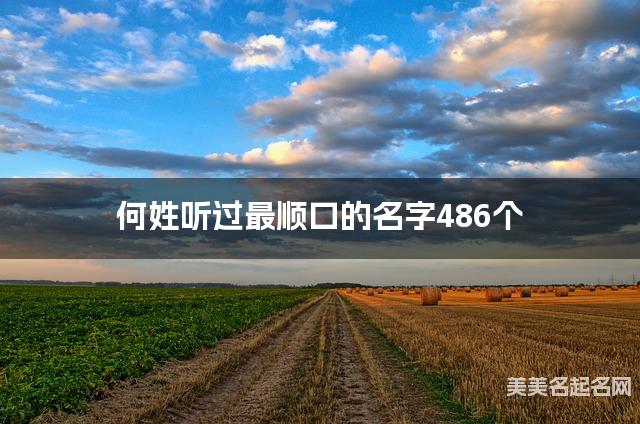 何姓听过最顺口的名字486个