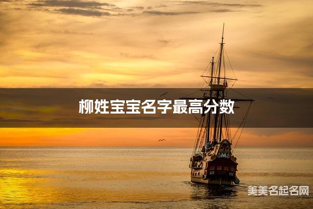 柳姓宝宝名字最高分数