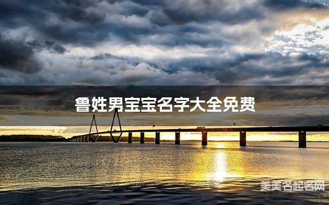 鲁姓男宝宝名字大全免费 文采斐然的名字