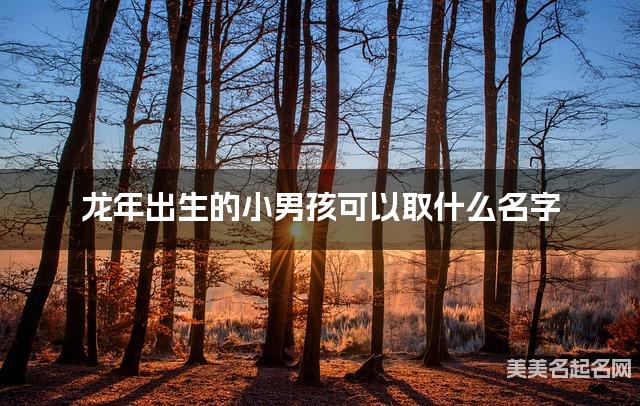 龙年出生的小男孩可以取什么名字（有涵养）