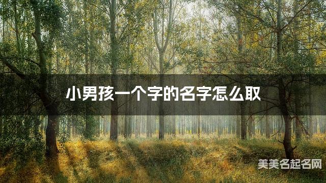 小男孩一个字的名字怎么取 有诗意的宝宝单字名大全