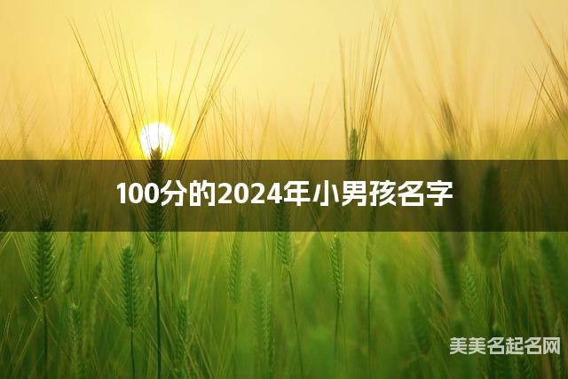 100分的2024年小男孩名字