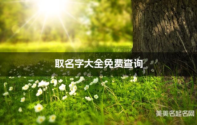 取名字大全免费查询 最有诗意的吴姓女宝宝名字