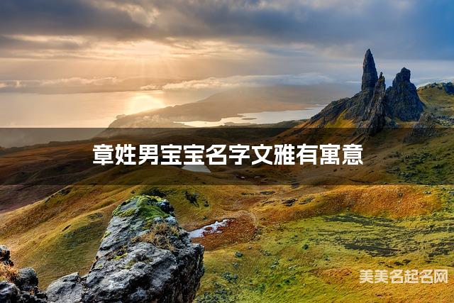 章姓男宝宝名字文雅有寓意