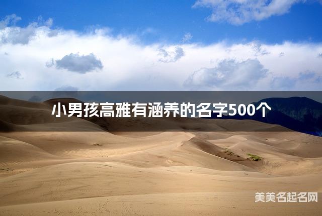 小男孩高雅有涵养的名字500个