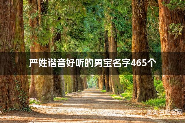 严姓谐音好听的男宝名字465个