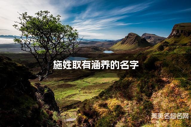 施姓取有涵养的名字，施姓男孩高端名字