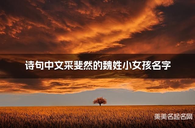 诗句中文采斐然的魏姓小女孩名字