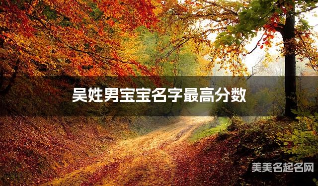 吴姓男宝宝名字最高分数
