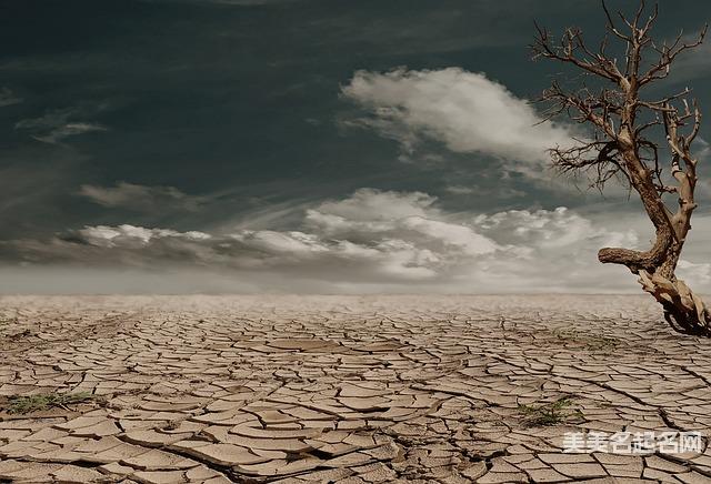 女孩取名：寓意不错的带诺女孩名字大全