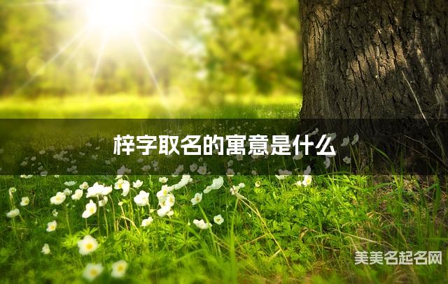 梓字取名的寓意是什么