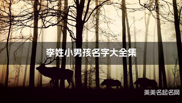 李姓小男孩名字大全集（简单顺口300个）