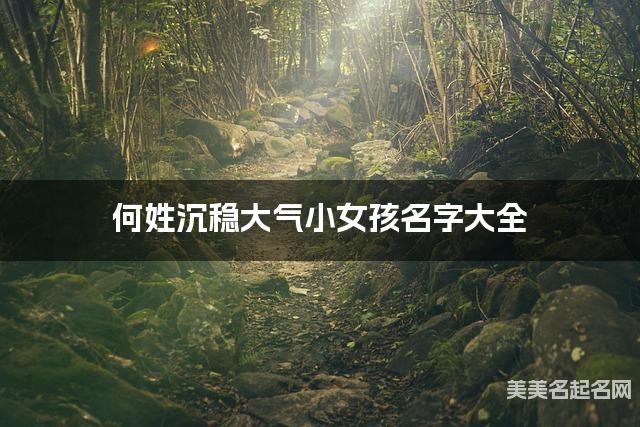 何姓沉稳大气小女孩名字大全