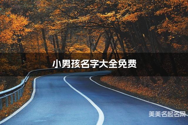 小男孩名字大全免费 雅致好听的名字