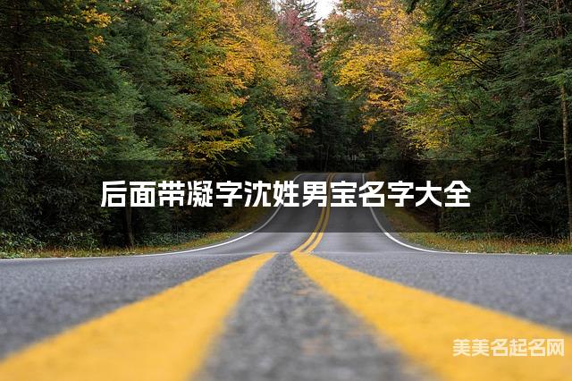 后面带凝字沈姓男宝名字大全