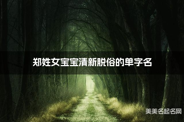郑姓女宝宝清新脱俗的单字名  有创意的宝宝单字名大全