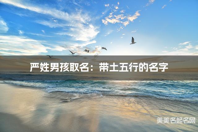 严姓男孩取名：带土五行的名字（有创意）