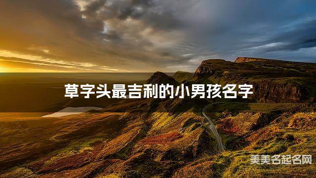 草字头最吉利的小男孩名字 马姓草字头取名最有福气