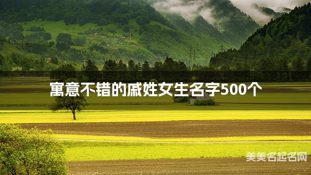 寓意不错的戚姓女生名字500个