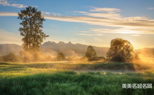 如何给2024龙宝宝起一个简单好记的名字