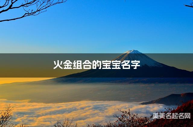 火金组合的宝宝名字 宝宝文艺淡雅的名字