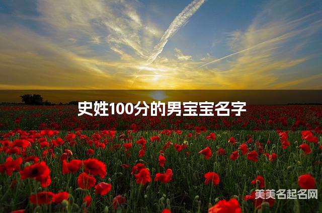 史姓100分的男宝宝名字