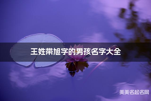 王姓带旭字的男孩名字大全