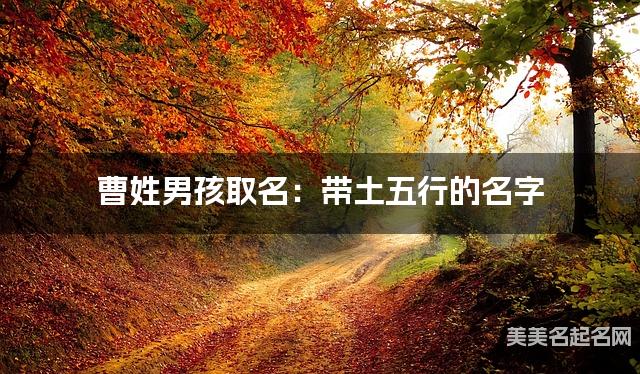 曹姓男孩取名：带土五行的名字（有含义）