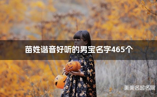 苗姓谐音好听的男宝名字465个