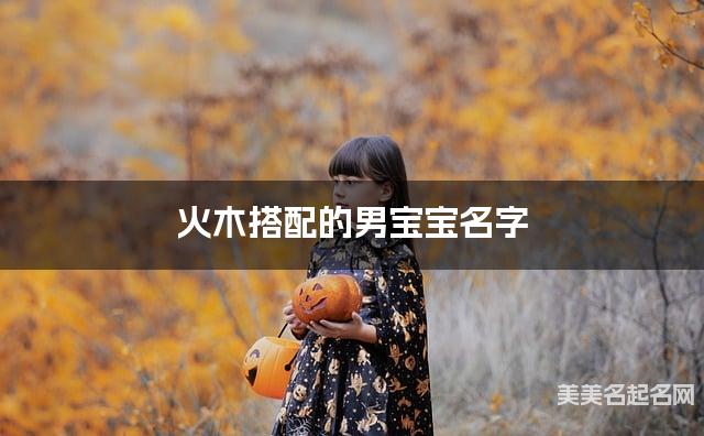 火木搭配的男宝宝名字 男宝宝有内涵的名字