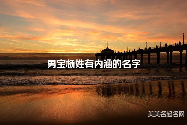 男宝杨姓有内涵的名字