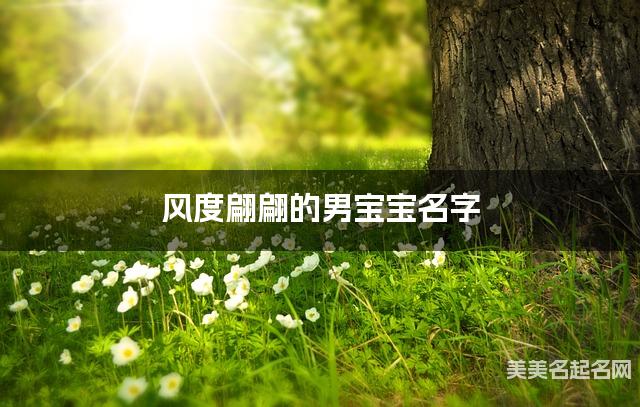 风度翩翩的男宝宝名字（223个最新）