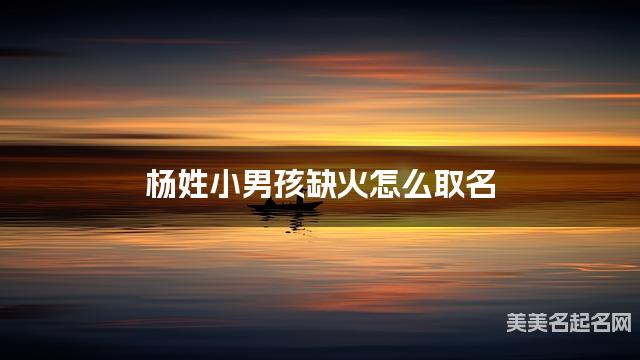 杨姓小男孩缺火怎么取名 周易取名大全