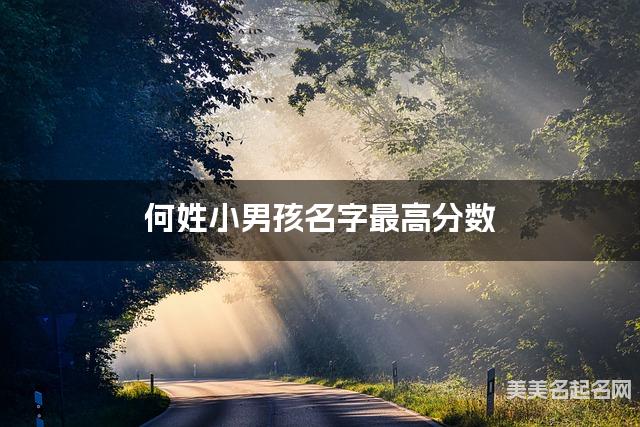 何姓小男孩名字最高分数