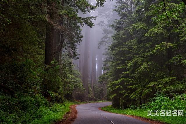 如何用诗经给宝宝起个古风意境唯美的名字