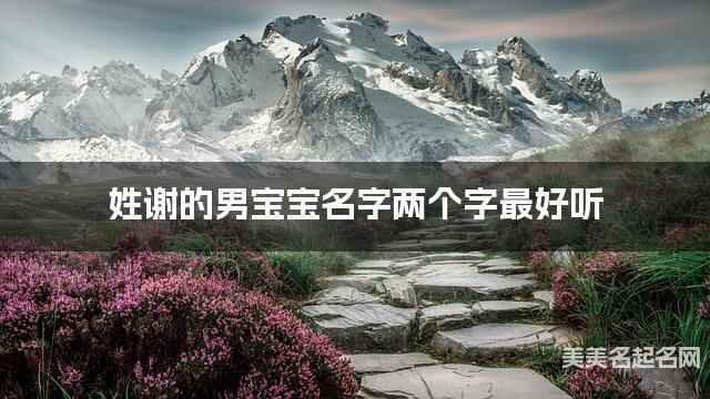 姓谢的男宝宝名字两个字最好听 姓谢的男宝宝名字两个字最好听