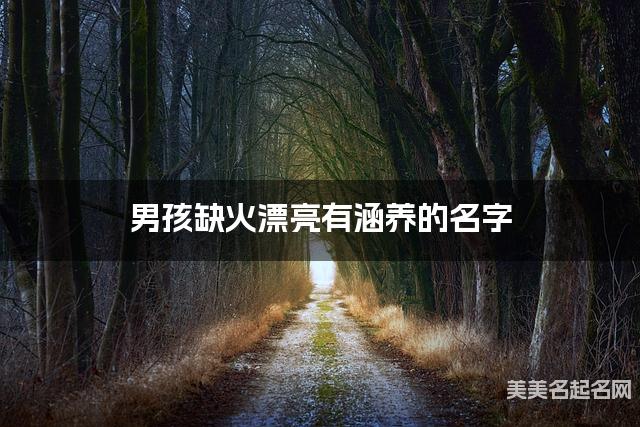 男孩缺火漂亮有涵养的名字 有气质的宝宝名字大全
