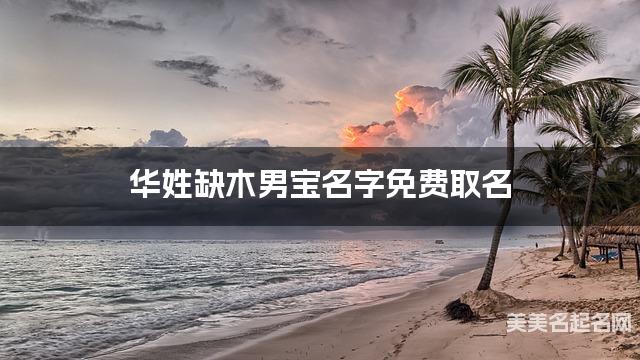 华姓缺木男宝名字免费取名 有寓意的宝宝名字大全