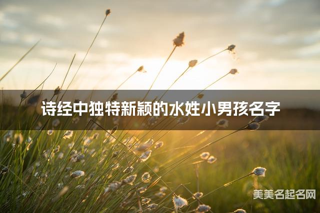 诗经中独特新颖的水姓小男孩名字