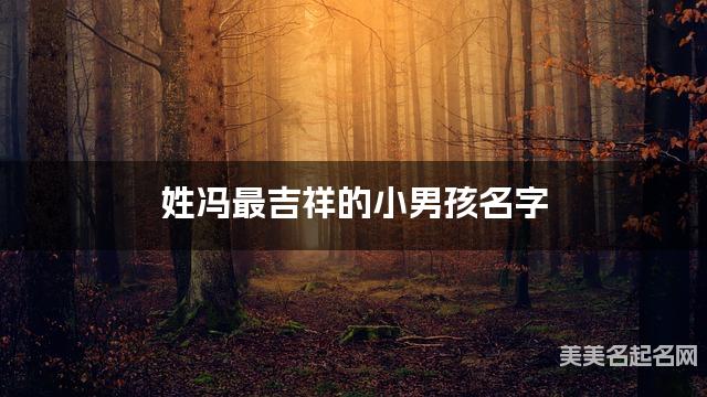 姓冯最吉祥的小男孩名字