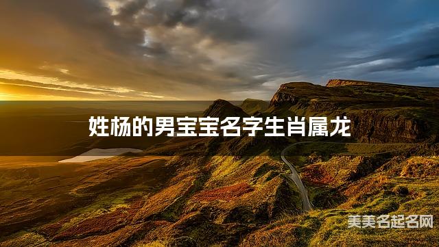 姓杨的男宝宝名字生肖属龙 有涵养的宝宝名字大全