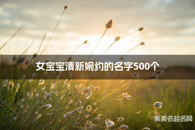 女宝宝清新婉约的名字500个
