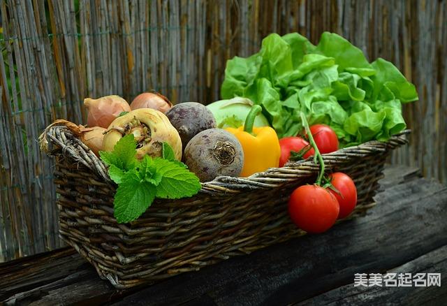 诗经中高雅有诗意的男宝宝名字100个