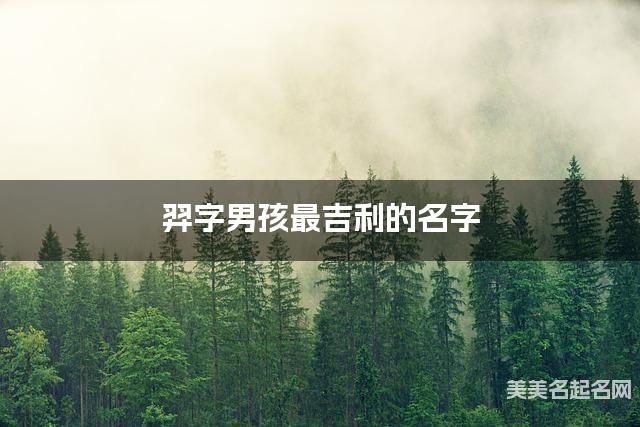 羿字男孩最吉利的名字 带羿字男宝宝简单顺口好听的名字 羿字男孩最吉利的名字 带羿字男宝宝简单顺口好听的名字