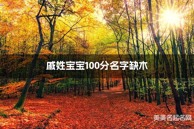 戚姓宝宝100分名字缺木 有含义的宝宝名字大全