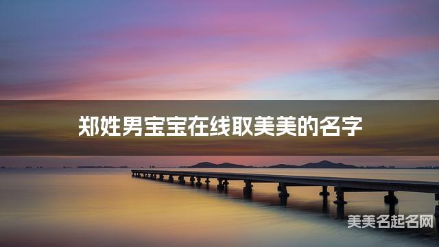 郑姓男宝宝在线取美美的名字