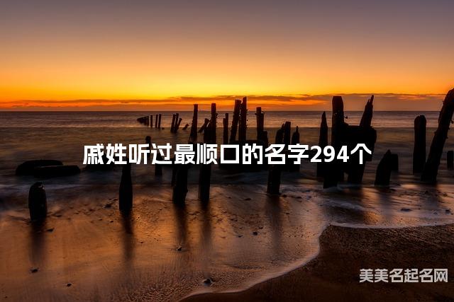 戚姓听过最顺口的名字294个